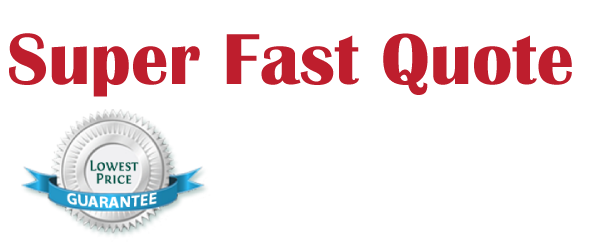 Windshield Replacement Repair Quote